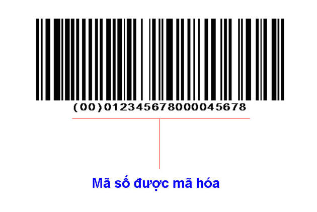 In mã vạch cont? Những điều cần biết 4 ma vach container 4
