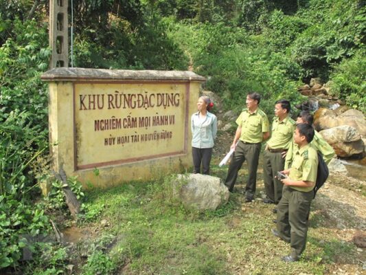 day la mot bien phap quan trong nham bao ve rung dac dung