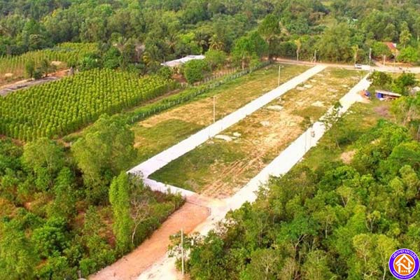Xây nhà tạm trên đất trồng cây lâu năm có bị sao không? 4 Xây nhà tạm trên đất trồng cây lâu năm có bị xử phạt?