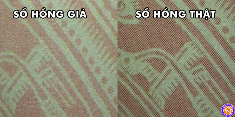3 cach phan biet so hong gia va so hong that 2