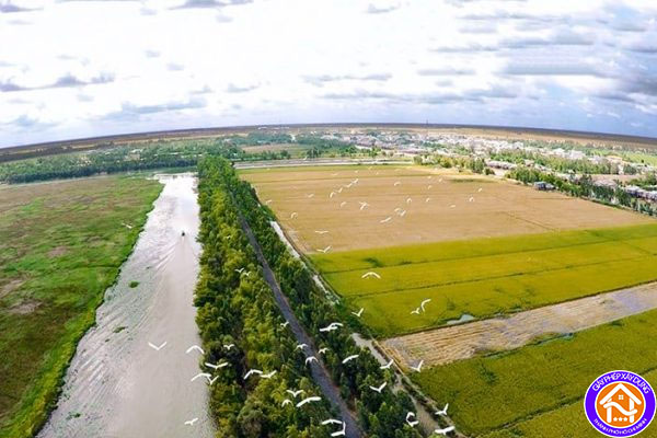 cach tinh thue dat phi nong nghiep 2022 chi tiet 2